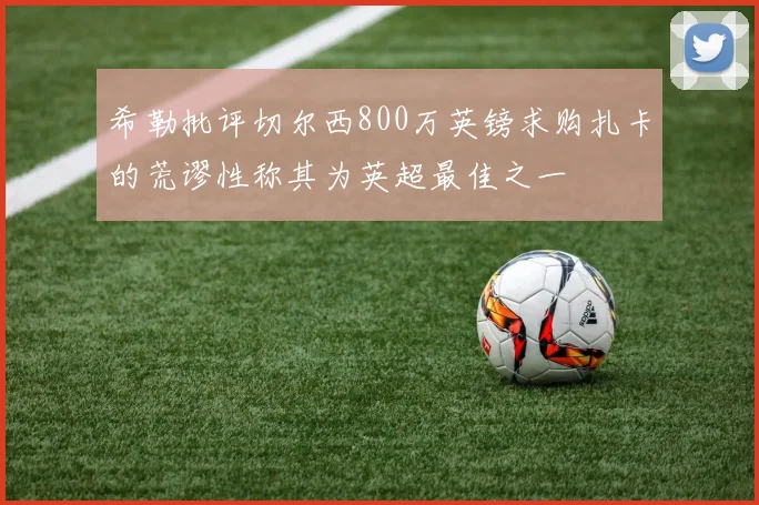 希勒批评切尔西800万英镑求购扎卡的荒谬性称其为英超最佳之一