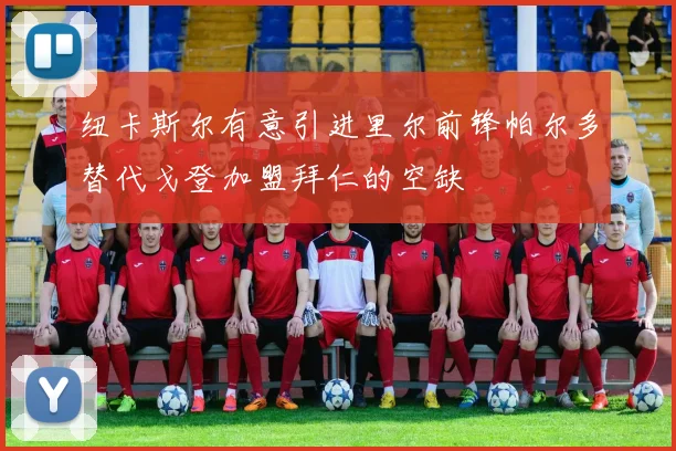纽卡斯尔有意引进里尔前锋帕尔多替代戈登加盟拜仁的空缺