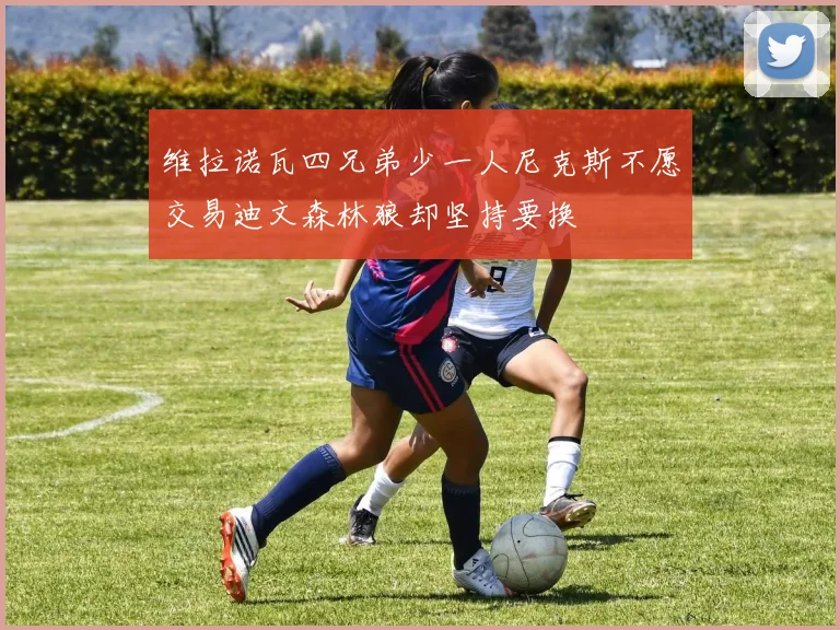 维拉诺瓦四兄弟少一人尼克斯不愿交易迪文森林狼却坚持要换